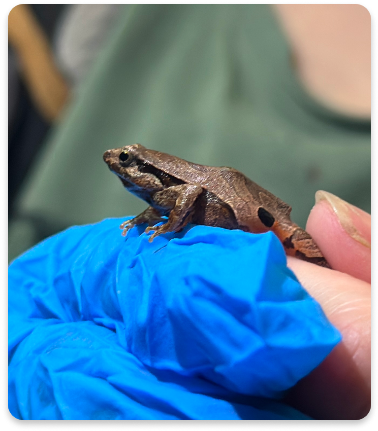 imagem_2025-09-02_102649056